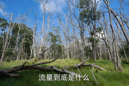 流量到底是什么