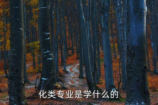 化類專業(yè)是學什么的