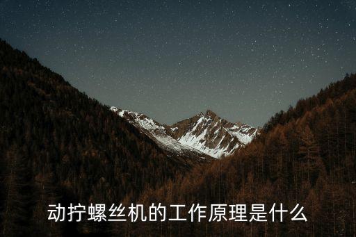 動擰螺絲機(jī)的工作原理是什么