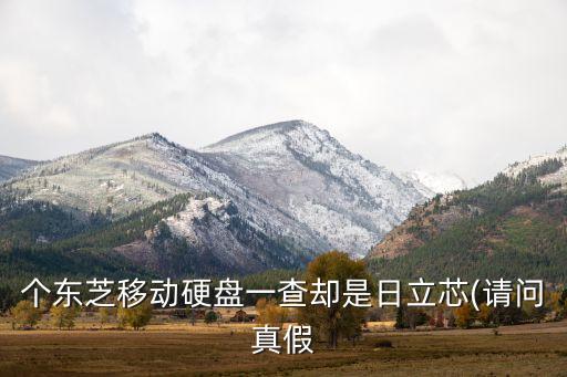 東芝芯片西部數(shù)據(jù)、西部數(shù)據(jù)和東芝