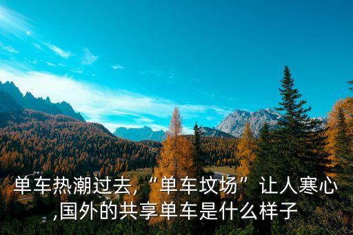 單車熱潮過去,“單車墳場(chǎng)”讓人寒心,國(guó)外的共享單車是什么樣子