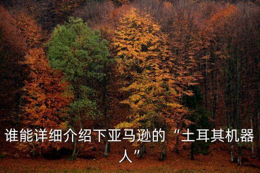 誰(shuí)能詳細(xì)介紹下亞馬遜的“土耳其機(jī)器人”