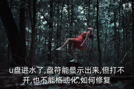 u盤進(jìn)水了,盤符能顯示出來,但打不開,也不能格式化,如何修復(fù)
