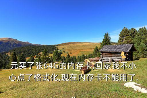 元買了張64G的內(nèi)存卡,回家我不小心點(diǎn)了格式化,現(xiàn)在內(nèi)存卡不能用了...