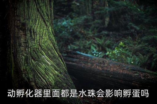 北京全自動化養(yǎng)雞設(shè)備定制,全自動養(yǎng)雞設(shè)備價格