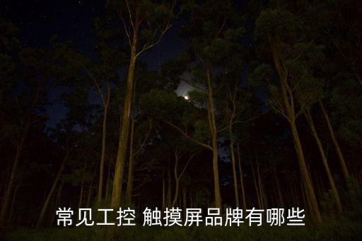 自動化設備觸摸屏叫什么