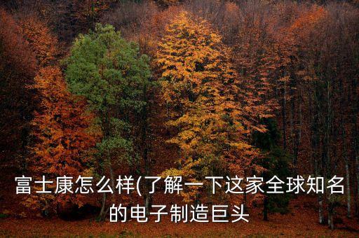 富士康怎么樣(了解一下這家全球知名的電子制造巨頭