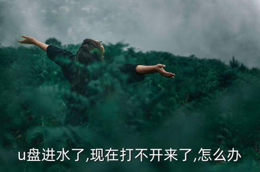 u盤進(jìn)水了,現(xiàn)在打不開來了,怎么辦