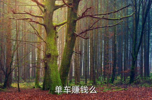 單車賺錢么
