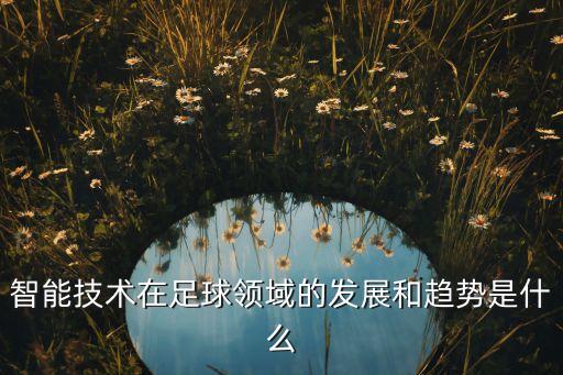 智能足球數(shù)據,超過智能足球數(shù)據