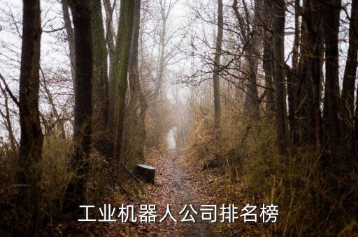 自動(dòng)化加工公司排名前十名,由寧波自動(dòng)化公司排名