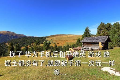換了 華為手機(jī)后和平精英 游戲 數(shù)據(jù)全都沒有了,就跟新手第一次玩一樣等...