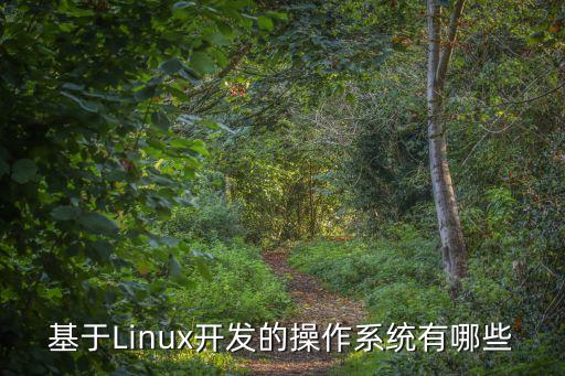 思普操作系統(tǒng),基于linux開(kāi)發(fā)的操作系統(tǒng)有哪些?