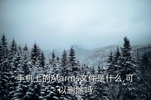 alarms,鬧鐘上的alarm是什么意思?