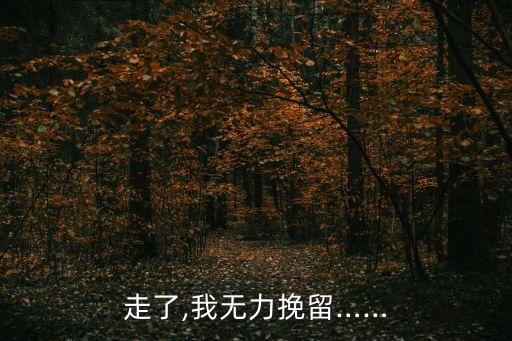 走了,我無(wú)力挽留……