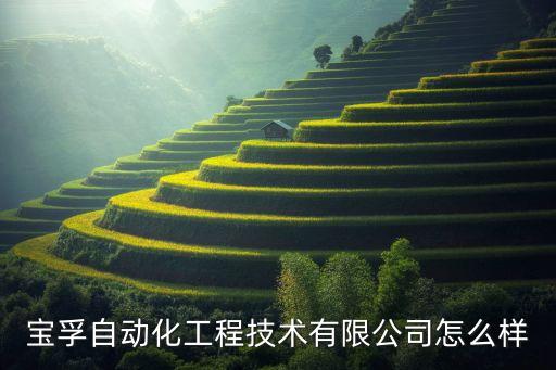 寶孚自動(dòng)化工程技術(shù)有限公司怎么樣