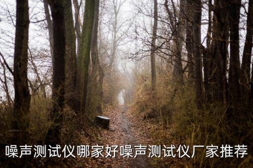 噪聲測試儀哪家好噪聲測試儀廠家推薦