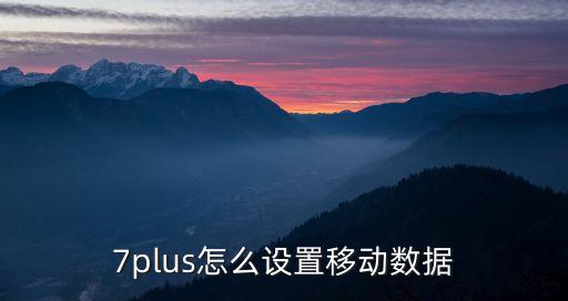 7plus怎么設(shè)置移動(dòng)數(shù)據(jù)