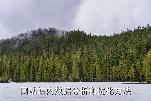網(wǎng)站站內(nèi)數(shù)據(jù)分析和優(yōu)化方法
