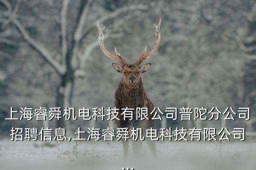 上海睿舜機電科技有限公司普陀分公司招聘信息,上海睿舜機電科技有限公司...