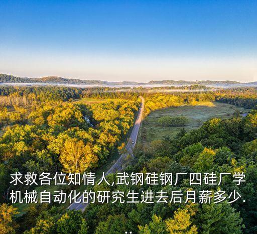 硅鋼片沖切自動化設(shè)備,選擇自己擅長的行業(yè)