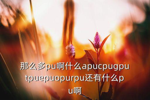 opu,otu1.otu3區(qū)別