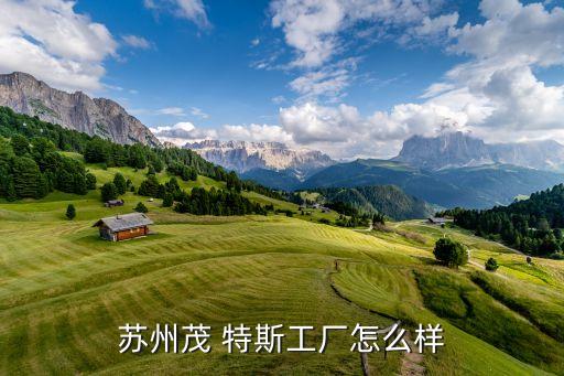 蘇州茂 特斯工廠怎么樣
