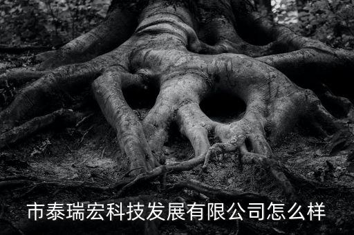 泰瑞自動化設(shè)備有限公司,江蘇泰瑞自動化設(shè)備有限公司