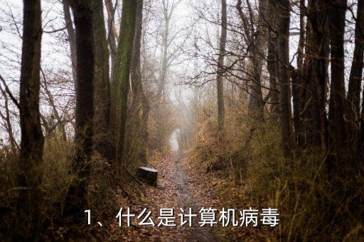 計(jì)算機(jī)病毒是,什么是計(jì)算機(jī)病毒?