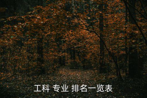 工科 專業(yè) 排名一覽表