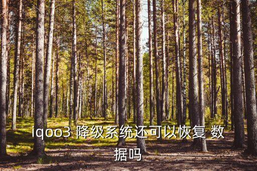 iqoo3 降級系統(tǒng)還可以恢復(fù) 數(shù)據(jù)嗎