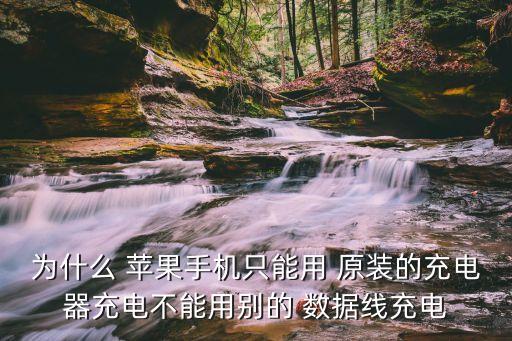 為什么 蘋果手機(jī)只能用 原裝的充電器充電不能用別的 數(shù)據(jù)線充電