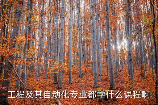 工程及其自動(dòng)化專(zhuān)業(yè)都學(xué)什么課程啊