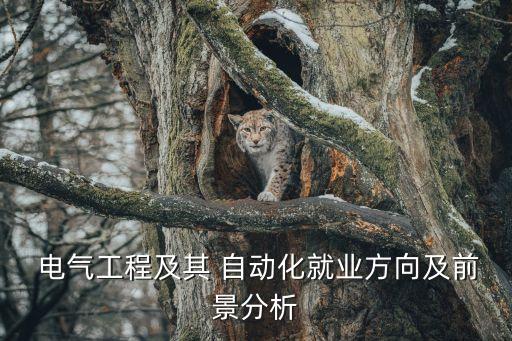  電氣工程及其 自動(dòng)化就業(yè)方向及前景分析