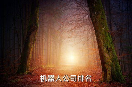 飛騰自動化技術(shù)有限公司,佛山市騰飛自動化有限公司