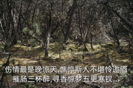 傷情最是晚涼天,憔悴斯人不堪憐邀酒摧腸三杯醉,尋香驚夢(mèng)五更寒釵...