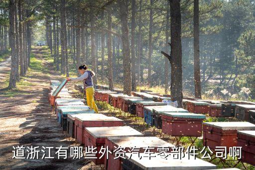 道浙江有哪些外資汽車零部件公司啊
