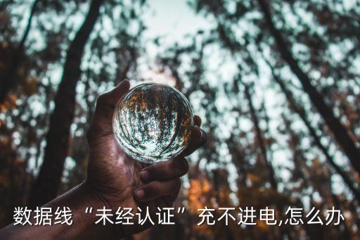 數(shù)據(jù)線(xiàn)“未經(jīng)認(rèn)證”充不進(jìn)電,怎么辦