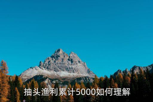  抽頭漁利累計(jì)5000如何理解