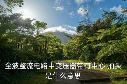 全波整流電路中變壓器帶有中心 抽頭是什么意思