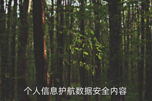 個人信息護航數(shù)據(jù)安全內(nèi)容