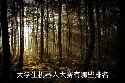 大學(xué)生機(jī)器人大賽有哪些排名