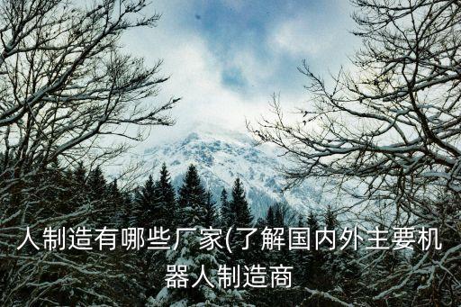 人制造有哪些廠(chǎng)家(了解國(guó)內(nèi)外主要機(jī)器人制造商