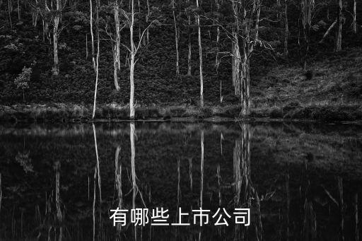 錦博自動化設(shè)備有限公司,金菊自動化設(shè)備有限公司