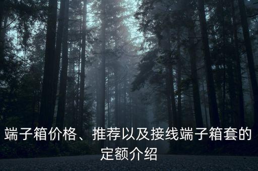 福建自動化電氣柜定制廠家,自動電氣柜圖片
