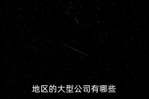 地區(qū)的大型公司有哪些