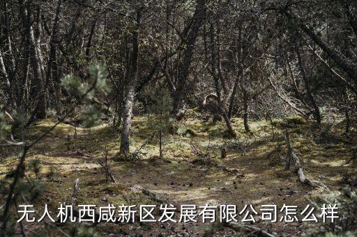 西咸新區(qū)自動化公司,廣州高光譜科技有限公司