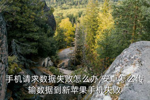 安卓手機請求數(shù)據(jù)失敗怎么辦,安卓怎么傳輸數(shù)據(jù)到新蘋果手機失敗