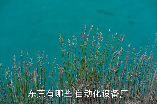 東莞有哪些 自動化設(shè)備廠