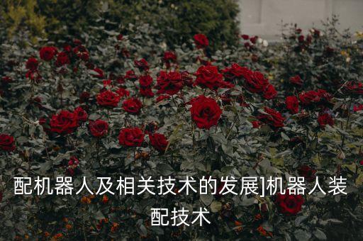 球形機(jī)器人驅(qū)動(dòng),球形機(jī)器人